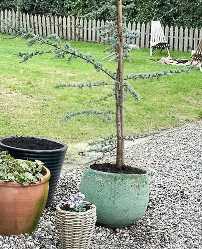 Summerhouse In Ferienhaus Juelsminde (Hedensted)